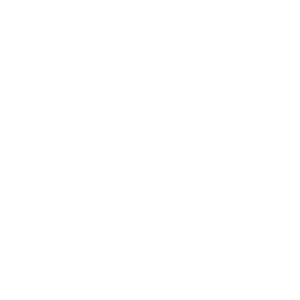 The Village Main logo